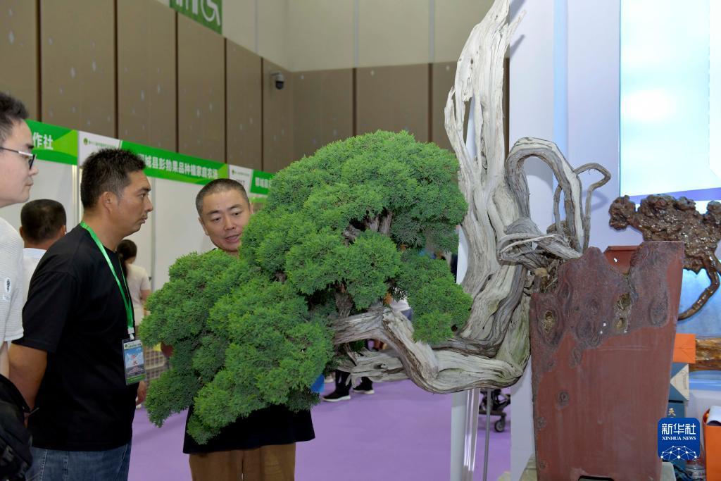 云顶集团办理大厅